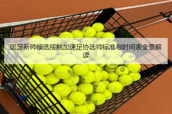国足新帅候选接触加速足协选帅标准与时间表全景解读